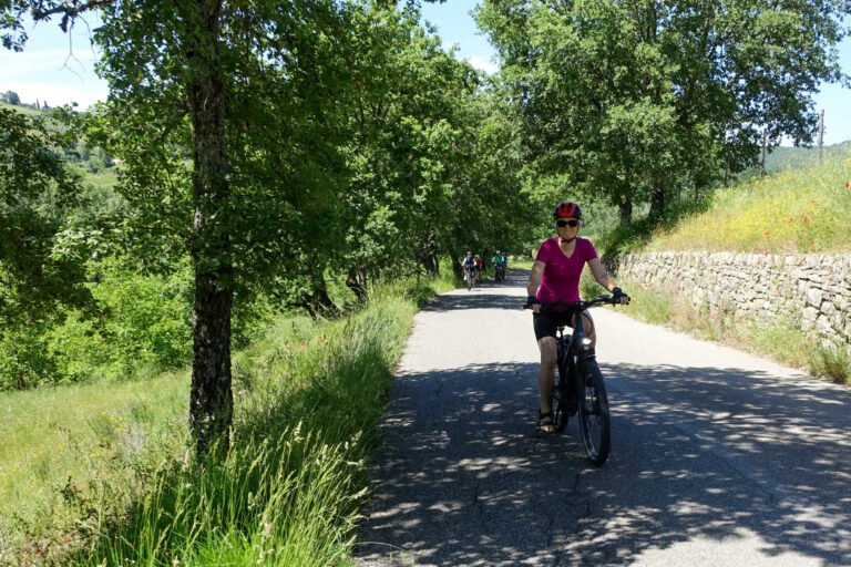 Person cykler på solrig landevej omgivet af træer
